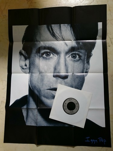 Iggy pop isolation - isolation, hideaway
