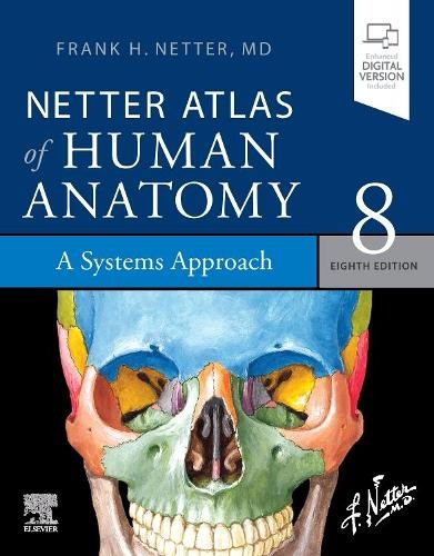 Netter atlas human - atlas, anatomy