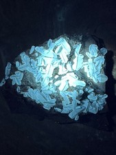 New Find__Grande grappolo di