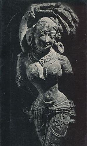 Museo rietberg zurigo - rietberg,