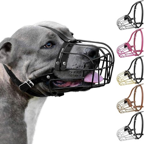 Bronzedog pitbull museruola - bronzedog,