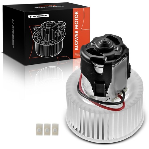 Motore soffiatore - motore,