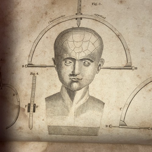 1835 elements phrenology - elements,