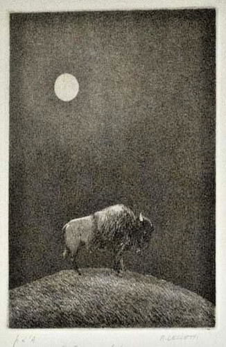 Bisonte sotto luna - bisonte, luna"