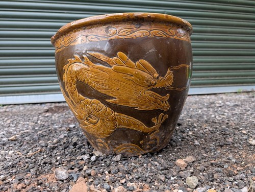Fioriera vaso piante drago