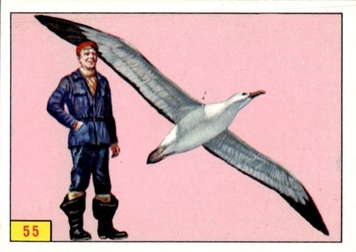 Figurina uccelli panini - figurina,