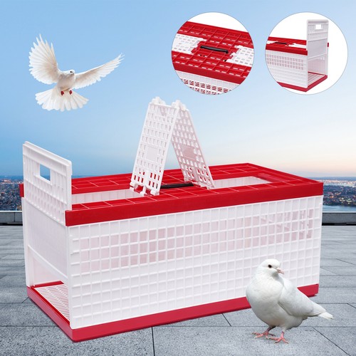 Box porta piccioni corsa - box,
