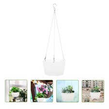  Piante da appendere vaso