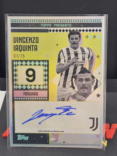 Vincenzo iaquinta juventus - iaquinta,