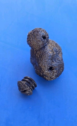 Nuovo tartufo finto per - tartufo,