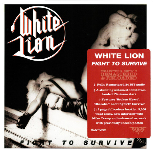 White lion fight to - lion,