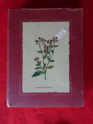 Stampa autore botanica - stampa, d'autore
