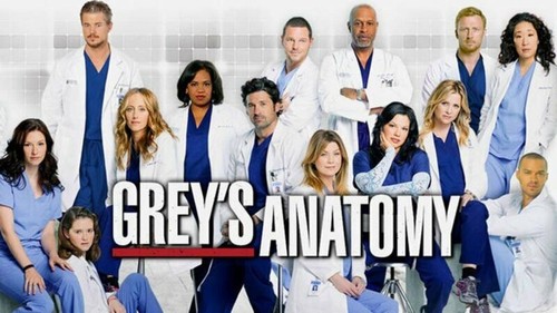 Grey anatomy 20 in - grey's,