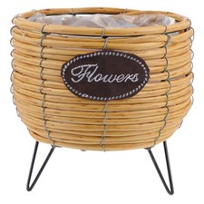 Piante creative vasi da fiori