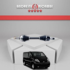 SEMIASSE ANTERIORE SINISTRA