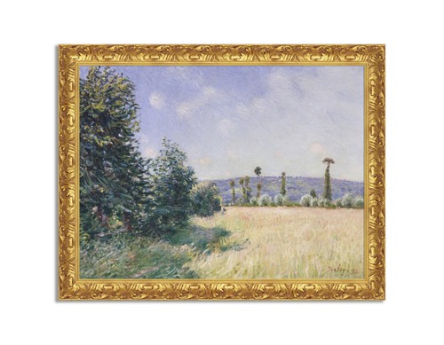 Quadro stampa tela effetto - quadro,