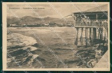 Lucca Viareggio Panorama Alpi Apuane cartolina RT2017