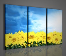 QUADRO MODERNO SUNFLOWER III
