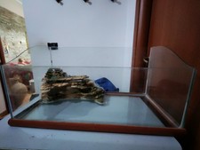 Habitat per tartarughe