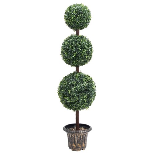 Vidaxl pianta bosso - vidaxl, di