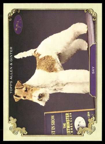 Sky 2024 topps - sky,