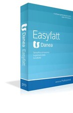 PROGRAMMA GESTIONALE DANEA