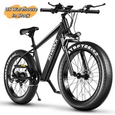 Mountain Bike Elettrica con