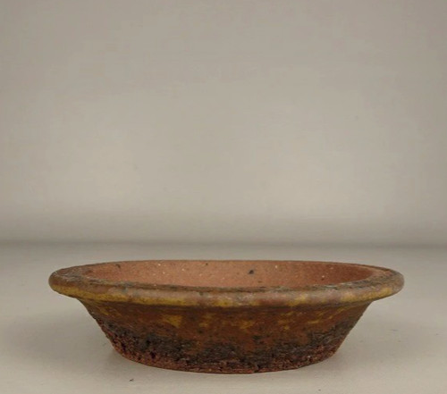 Vaso bonsai giapponese