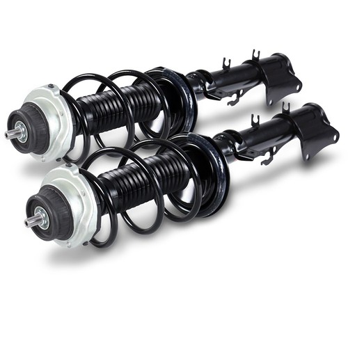 Ammortizzatore completo - 2x,