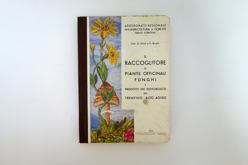 Raccoglitore piante - di,