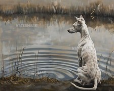 Whippet by Lake Watching