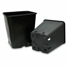 Vaso quadro coltivazione - quadro,