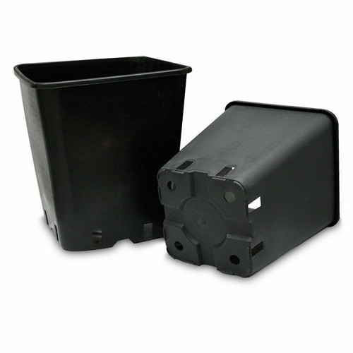 Vaso quadro coltivazione - quadro,