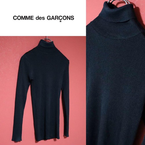 Maglia collo tartaruga - , lucida