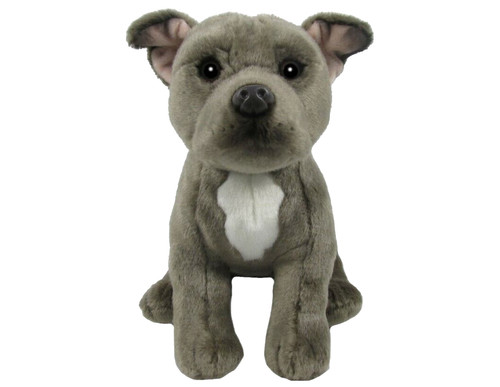 Peluche staffordshire bull - peluche,