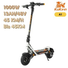 1000W(PEAK) Monopattini