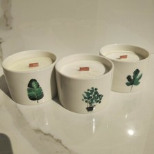 CANDELA BOTANICA BIO SOIA