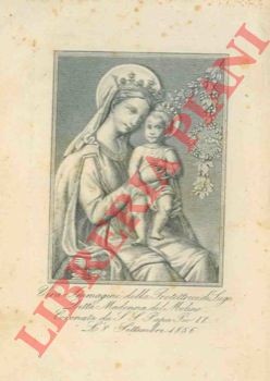 Vera immagine della