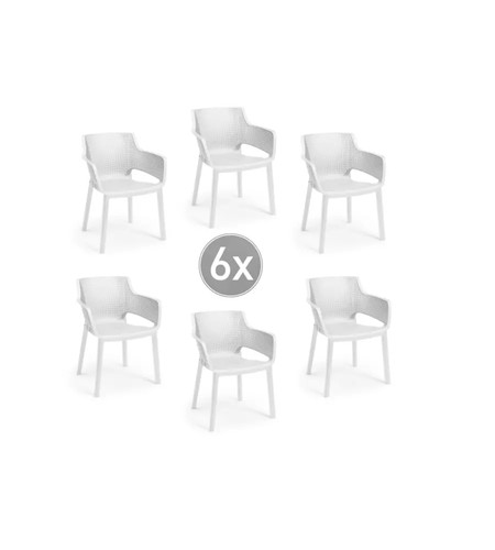 Set pezzi sedia da - set,