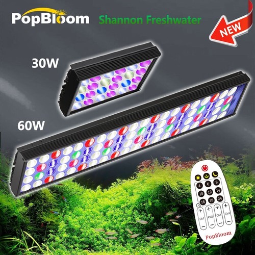 Popbloom timer controllo - timer,