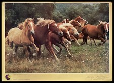 1990ca * Manifesto Poster