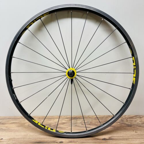 Ruota anteriore mountain bike