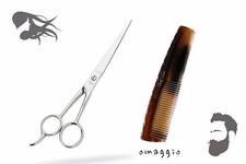 Forbici da barbiere forbici