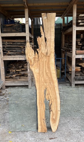 Tavola legno ulivo 164 x - tavola, di