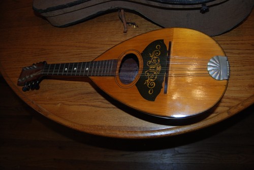 Mandolino antico astuccio - in,