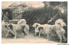 CAR-ABUP7-0640-65 - Gruppo Di