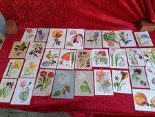 29 bellissimi quadri