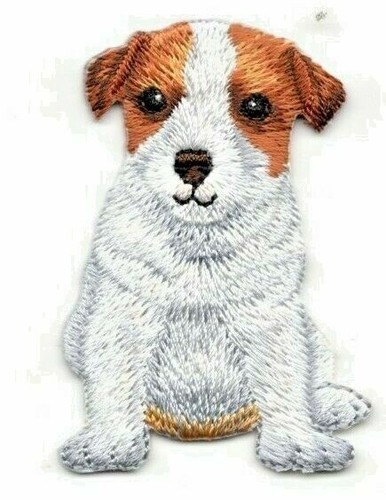 Jack russell terrier iron - iron, on