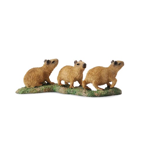 Collecta capybara neonati - capybara,