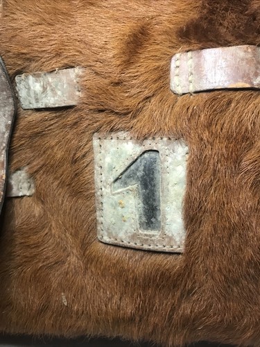 Zaino svizzero montagna - zaino,